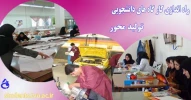 راه اندازی کار گاه های دانشجویی 2