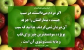 خواص سیب 2