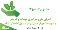 طرح عیدانه - برگ سبز 3 2